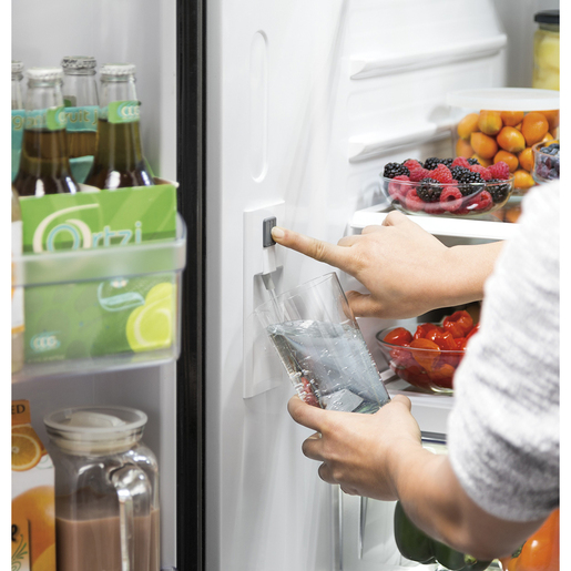 F-REFRIGERATOR-STAINLESS-STEEL-GWE22JYMFS-GE-INTERNAL-DISPENSER.jpg