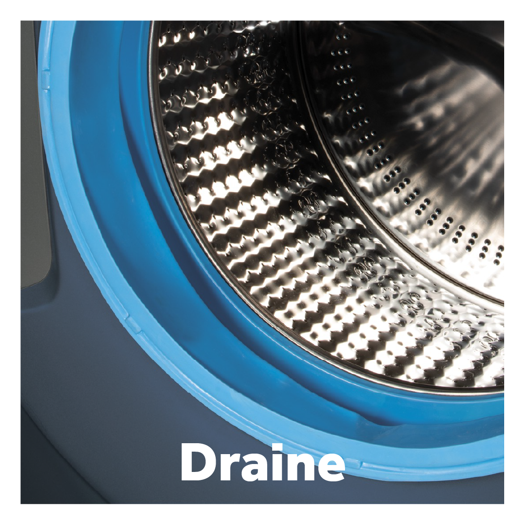 Draine